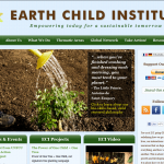 Earth Child Institute